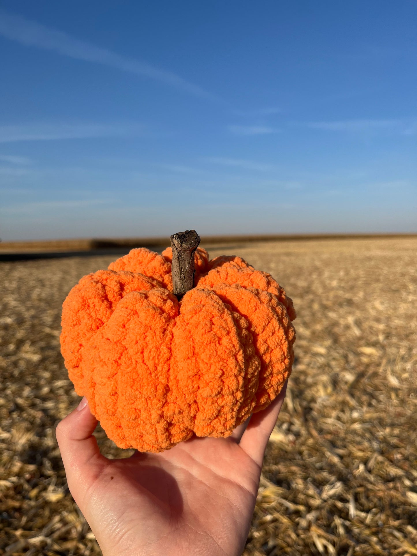 Pumpkin